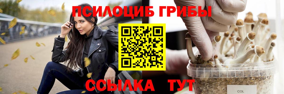 Галлюциногенные грибы Cubensis Лангепас